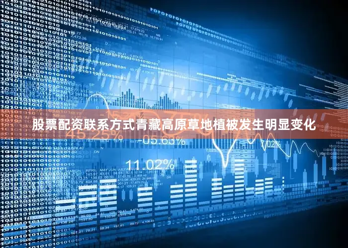 股票配资联系方式青藏高原草地植被发生明显变化