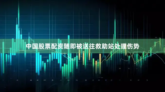 中国股票配资随即被送往救助站处理伤势