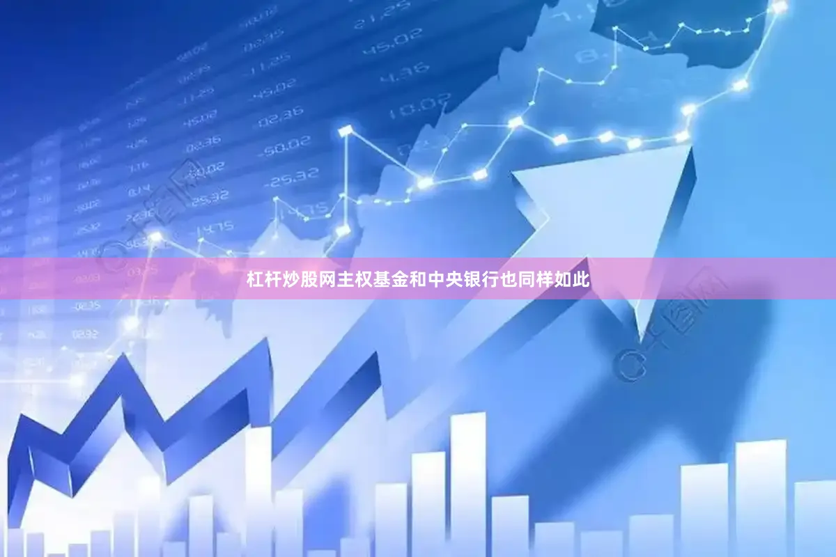 杠杆炒股网主权基金和中央银行也同样如此