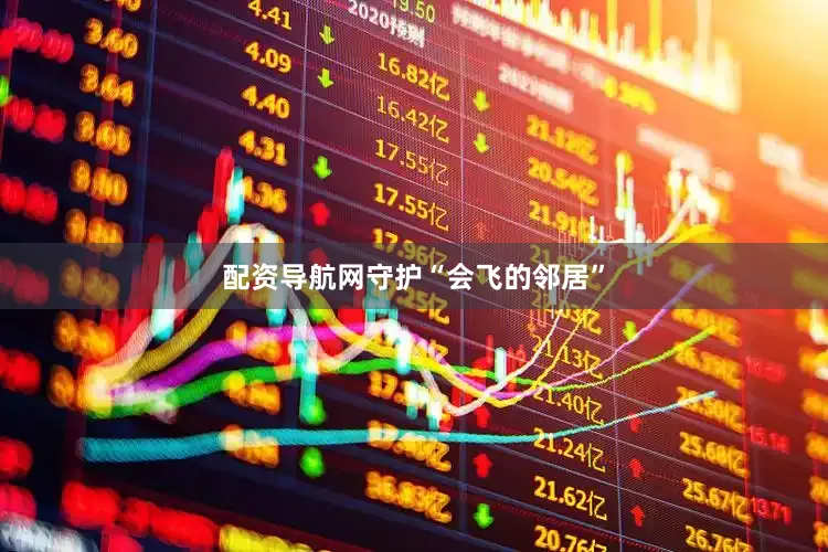 配资导航网　　守护“会飞的邻居”