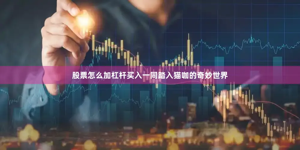 股票怎么加杠杆买入一同踏入猫咖的奇妙世界