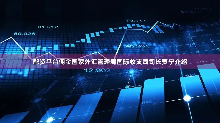 配资平台佣金国家外汇管理局国际收支司司长贾宁介绍