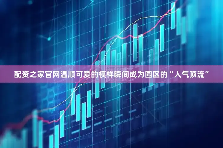配资之家官网温顺可爱的模样瞬间成为园区的“人气顶流”