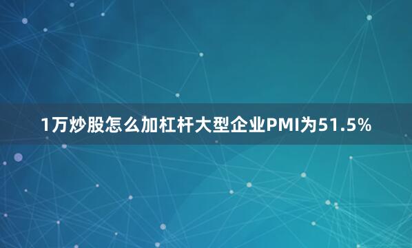 1万炒股怎么加杠杆大型企业PMI为51.5%